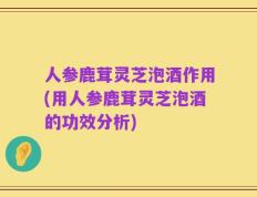 人参鹿茸灵芝泡酒作用(用人参鹿茸灵芝泡酒的功效分析)