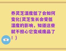 养灵芝湿度低了会如何变化(灵芝生长会受低湿度的影响，知道这些就不担心它变成废品了！)