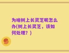 为啥树上长灵芝呢怎么办(树上长灵芝，该如何处理？)