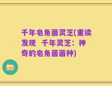 千年皂角菌灵芝(重读发现  千年灵芝：神奇的皂角菌菌种)