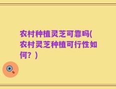 农村种植灵芝可靠吗(农村灵芝种植可行性如何？)