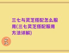 三七与灵芝搭配怎么服用(三七灵芝搭配服用方法详解)