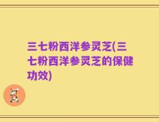 三七粉西洋参灵芝(三七粉西洋参灵芝的保健功效)