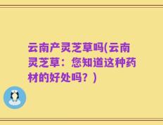 云南产灵芝草吗(云南灵芝草：您知道这种药材的好处吗？)