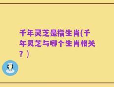 千年灵芝是指生肖(千年灵芝与哪个生肖相关？)
