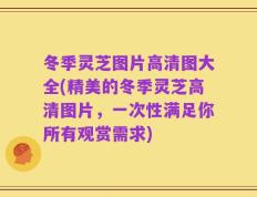 冬季灵芝图片高清图大全(精美的冬季灵芝高清图片，一次性满足你所有观赏需求)