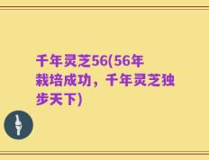 千年灵芝56(56年栽培成功，千年灵芝独步天下)