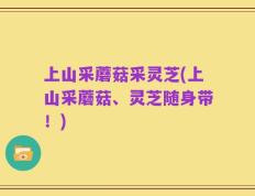 上山采蘑菇采灵芝(上山采蘑菇、灵芝随身带！)