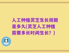 人工种植灵芝生长周期是多久(灵芝人工种植需要多长时间生长？)