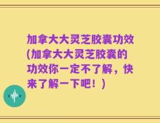 加拿大大灵芝胶囊功效(加拿大大灵芝胶囊的功效你一定不了解，快来了解一下吧！)