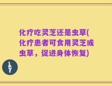 化疗吃灵芝还是虫草(化疗患者可食用灵芝或虫草，促进身体恢复)