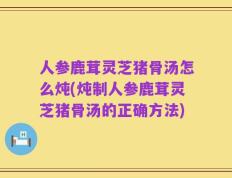 人参鹿茸灵芝猪骨汤怎么炖(炖制人参鹿茸灵芝猪骨汤的正确方法)
