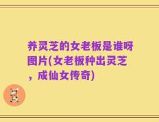 养灵芝的女老板是谁呀图片(女老板种出灵芝，成仙女传奇)