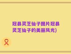 冠县灵芝仙子图片冠县灵芝仙子的美丽风光)