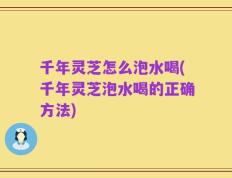 千年灵芝怎么泡水喝(千年灵芝泡水喝的正确方法)