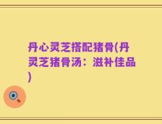 丹心灵芝搭配猪骨(丹灵芝猪骨汤：滋补佳品)