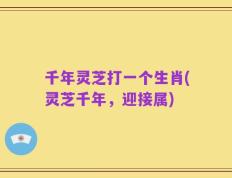 千年灵芝打一个生肖(灵芝千年，迎接属)
