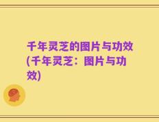千年灵芝的图片与功效(千年灵芝：图片与功效)
