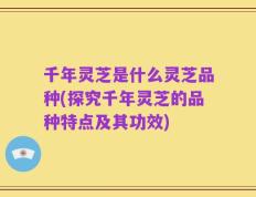 千年灵芝是什么灵芝品种(探究千年灵芝的品种特点及其功效)