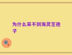 为什么采不到海灵芝孢子