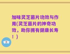 加味灵芝菌片功效与作用(灵芝菌片的神奇功效，助你拥有健康长寿！)