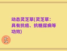 动态灵芝草(灵芝草：具有抗癌、抗糖尿病等功效)