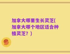 加拿大哪里生长灵芝(加拿大哪个地区适合种植灵芝？)
