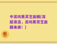 中泥坊黑灵芝面膜(深层清洁，泥坊黑灵芝面膜来袭！)