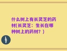 什么树上有长灵芝的药材(长灵芝：生长在哪种树上的药材？)