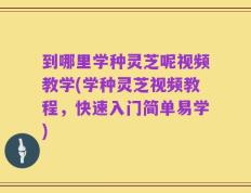 到哪里学种灵芝呢视频教学(学种灵芝视频教程，快速入门简单易学)