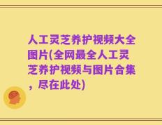 人工灵芝养护视频大全图片(全网最全人工灵芝养护视频与图片合集，尽在此处)