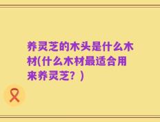 养灵芝的木头是什么木材(什么木材最适合用来养灵芝？)