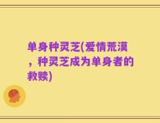 单身种灵芝(爱情荒漠，种灵芝成为单身者的救赎)