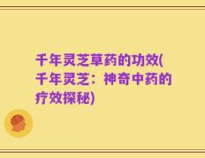 千年灵芝草药的功效(千年灵芝：神奇中药的疗效探秘)