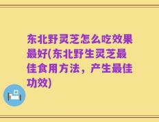 东北野灵芝怎么吃效果最好(东北野生灵芝最佳食用方法，产生最佳功效)