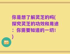 你是想了解灵芝的吗(探究灵芝的功效和用途：你需要知道的一切！)