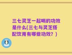 三七灵芝一起喝的功效是什么(三七与灵芝搭配饮用有哪些功效？)