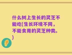 什么树上生长的灵芝不能吃(生长环境不同，不能食用的灵芝种类。)