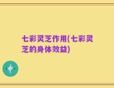 七彩灵芝作用(七彩灵芝的身体效益)
