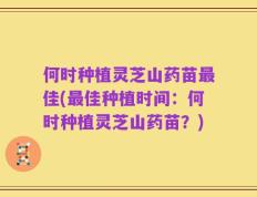 何时种植灵芝山药苗最佳(最佳种植时间：何时种植灵芝山药苗？)