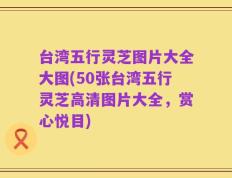 台湾五行灵芝图片大全大图(50张台湾五行灵芝高清图片大全，赏心悦目)