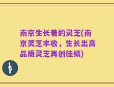 南京生长着的灵芝(南京灵芝丰收，生长出高品质灵芝再创佳绩)