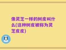 像灵芝一样的树皮叫什么(这种树皮被称为灵芝皮皮)