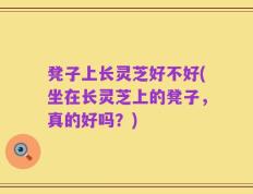 凳子上长灵芝好不好(坐在长灵芝上的凳子，真的好吗？)