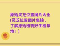 原始灵芝位置图片大全(灵芝位置图片集锦，了解原始植物野生栖息地！)