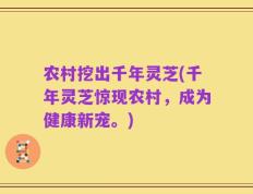 农村挖出千年灵芝(千年灵芝惊现农村，成为健康新宠。)