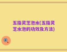 五指灵芝泡水(五指灵芝水泡的功效及方法)