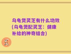 乌龟煲灵芝有什么功效(乌龟煲配灵芝：健康补给的神奇组合)