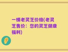 一棵老灵芝价格(老灵芝售价：您的灵芝健康福利)