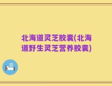 北海道灵芝胶囊(北海道野生灵芝营养胶囊)